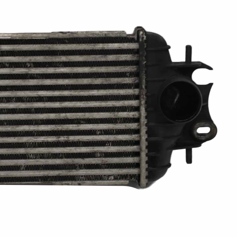 Renault Trafic Intercooler Refroidisseur d'air Radiateur Diesel 7 700 312 903