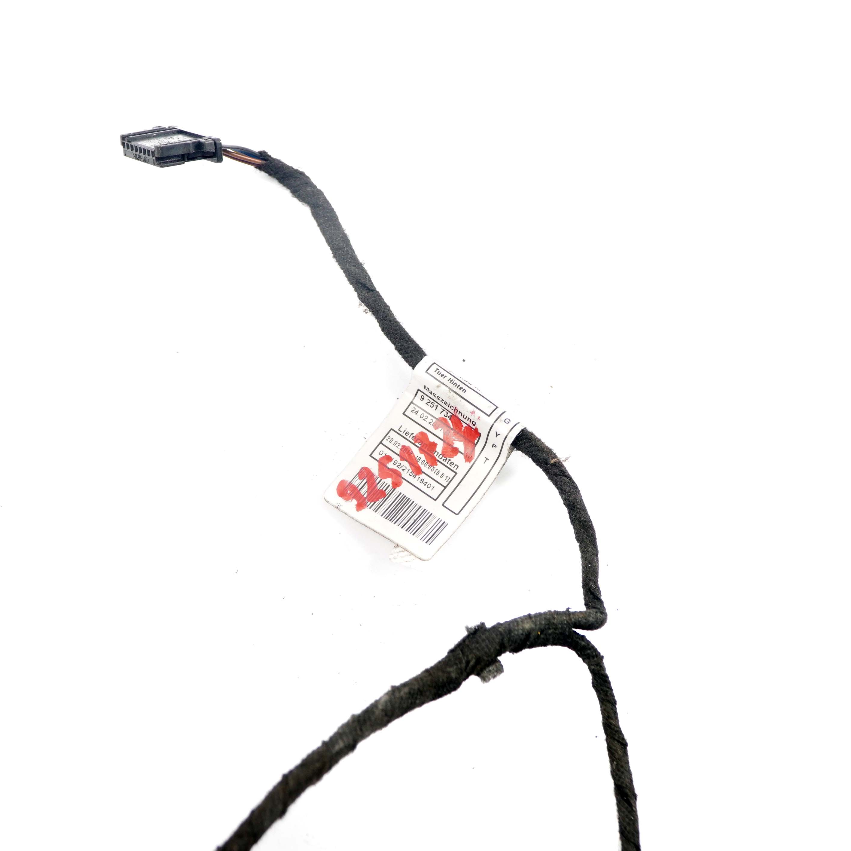 BMW F20 Arriere Gauche Droite  faisceau de cables porte  9251724